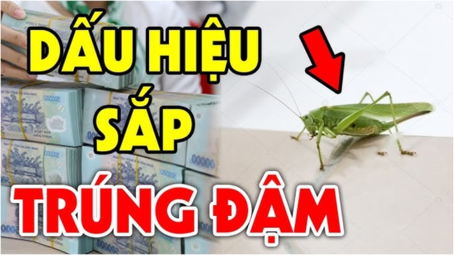 Dấu hiệu gia đình sắp may mắn