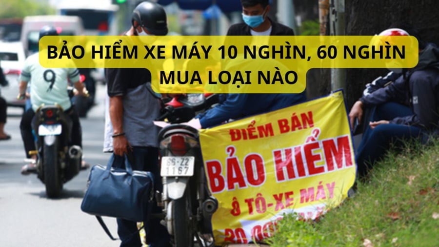 Bảo hiểm xe máy có giá khác nhau với ý nghĩa khác nhau