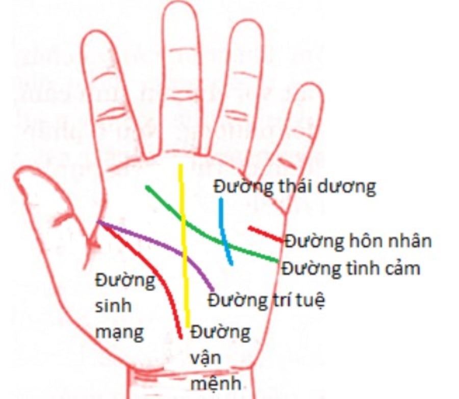 Xem chỉ tay đoán vận mệnh