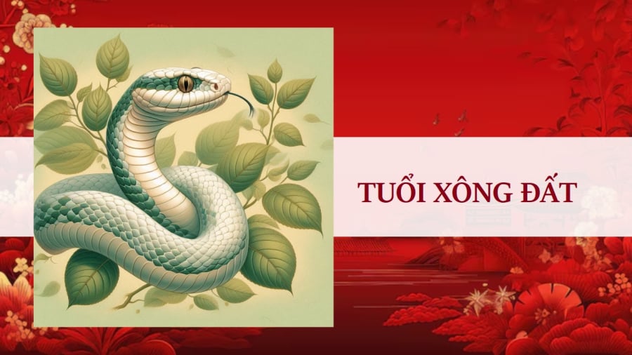 Canh Tuất (1970), Canh Ngọ (1990), Canh Thìn (2000) là 3 tuổi tốt nhất để xông đất, mở hàng cho năm Ất Tỵ 2025.