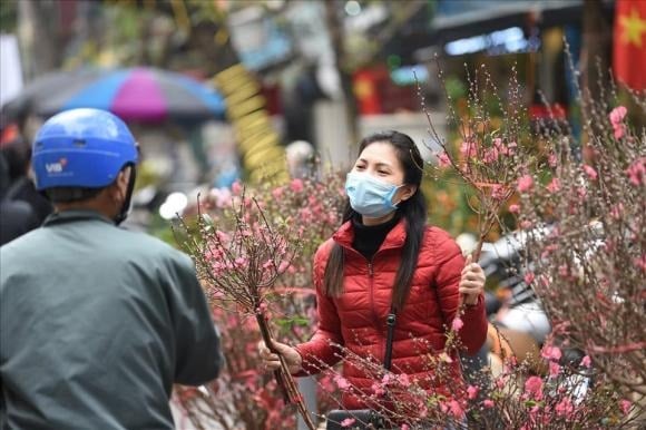 Chính vì vậy, không ai mong muốn cây đào hay cây quất của mình héo úa ngay trong những ngày đầu năm mới.