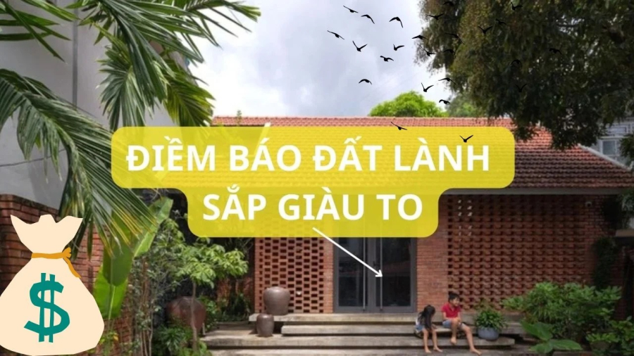 Tết có vị khách này tới nhà, chúc mừng gia chủ sắp giàu to, lộc lá đua nhau gõ cửa