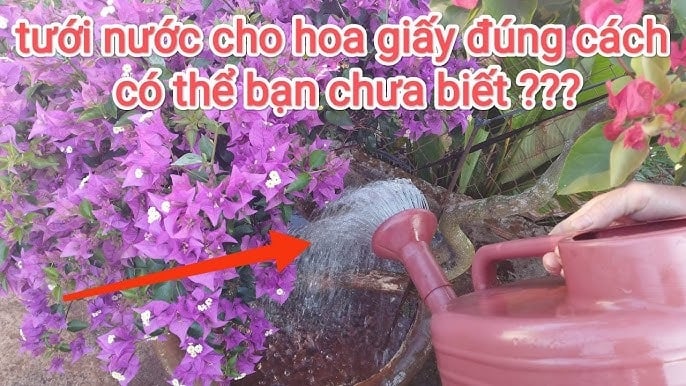 Thời gian bảo quản nước đậu nành có hạn, tốt nhất khi pha là sử dụng ngay để tránh làm giảm hiệu quả.     