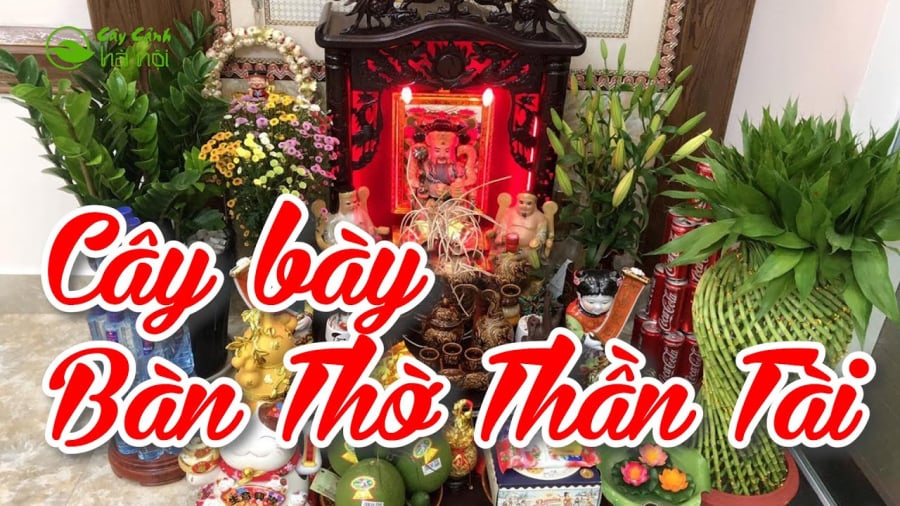 Cây trồng thủy sinh mang lại may mắn