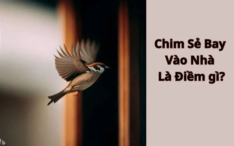 Ông bà ta dặn: '2 con chim bay vào cửa, không giàu cũng có lộc to', là chim gì?