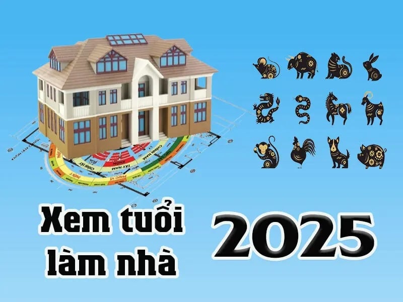 cac-tuoi-hop-lam-nha-2025-copy