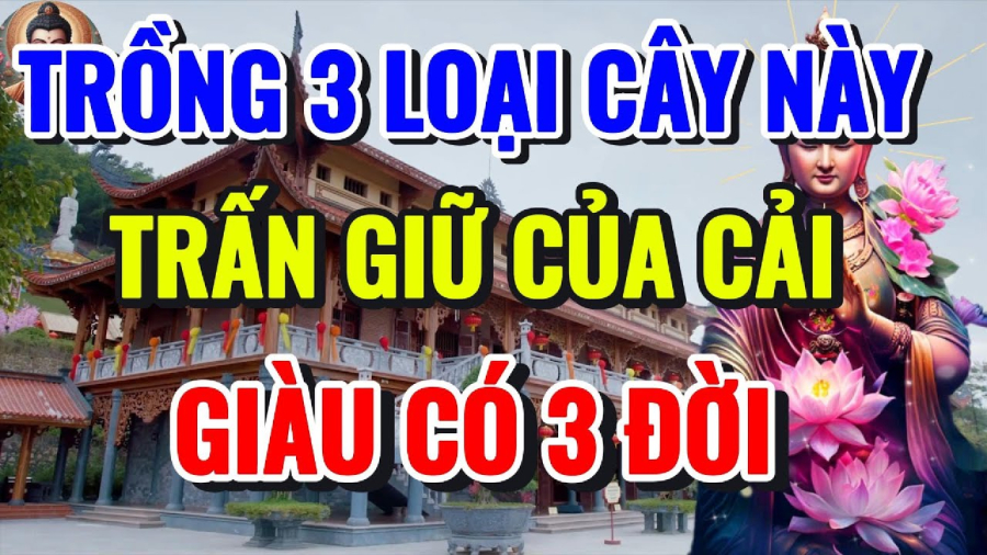 Cây trồng đặt lên bàn thờ tiền vào như nước