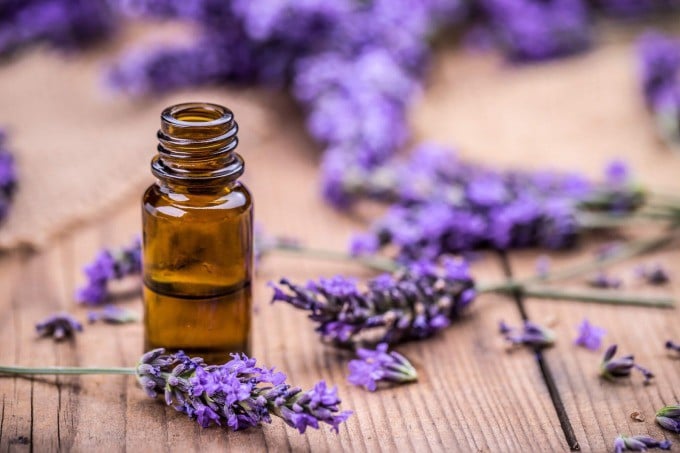 Tinh dầu oải hương là một trong những lựa chọn phổ biến giúp thư giãn và kích thích mọc tóc