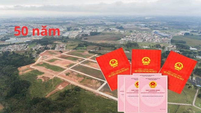 Đất 50 năm bị thu hồi trong trường hợp nào