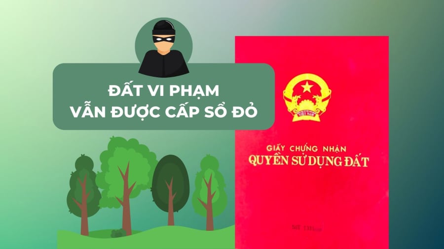 4 trường hợp đất vi phạm vẫn được xem xét cấp sổ đỏ