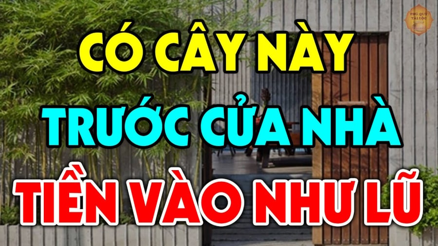 Những loại cây trồng trước nhà mang lại may mắn