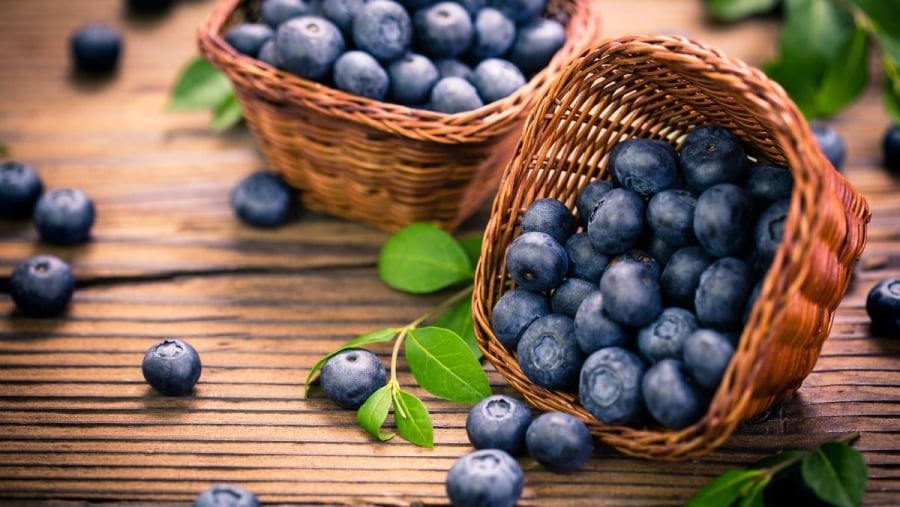 Việt quất là loại trái cây chứa anthocyanin, một dạng flavonoid tự nhiên nổi bật với tác dụng chống oxy hóa mạnh mẽ