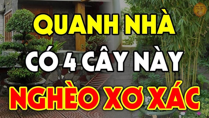 Những loại cây trồng trước nhà cây càng xanh người càng suy