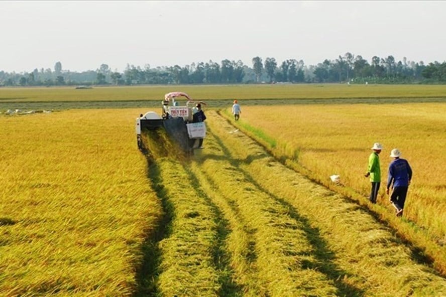 Ai có thể xây nhà trên đất nông nghiệp mà không lo bị xử phạt theo quy định?