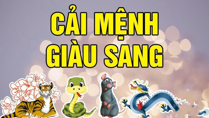 Vượt hạn Tam Tai qua cả Thái Tuế: 3 tuổi vươn đỉnh giàu sang cuối năm Ất Tỵ