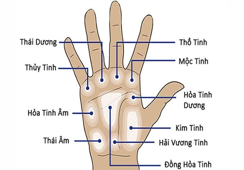 Các kiểu đường chỉ tay. Ảnh minh họa