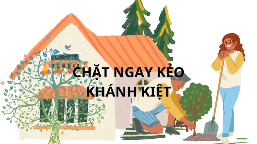 Cây ác trước nhà phải bỏ ngay