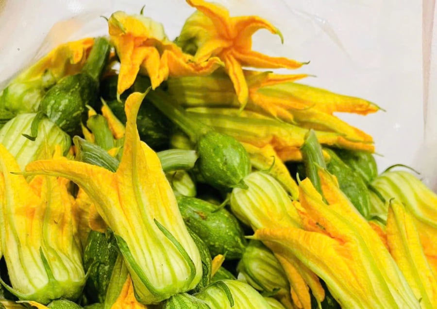 Pumpkin flowers are a delicious and nutritious part of the pumpkin plant