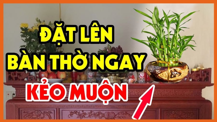 Cây trồng đặt lên bàn thờ may mắn giàu có