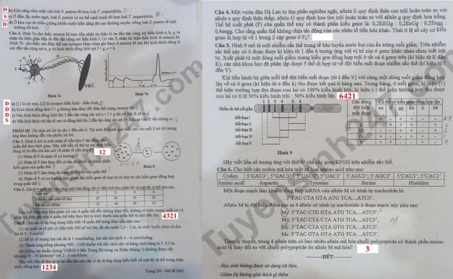 Đề thi khảo sát môn Sinh học lớp 12 Hà Nội 2025, mã đề 0401, trang 5, 6.