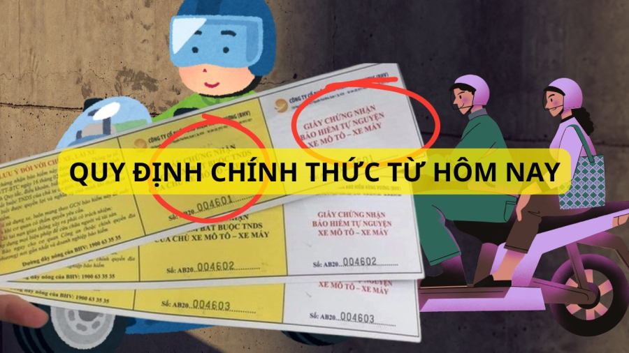 Người dân chú ý bảo hiểm xe máy bắt buộc là quy định của Luật Trật tự an toàn giao thông đường bộ