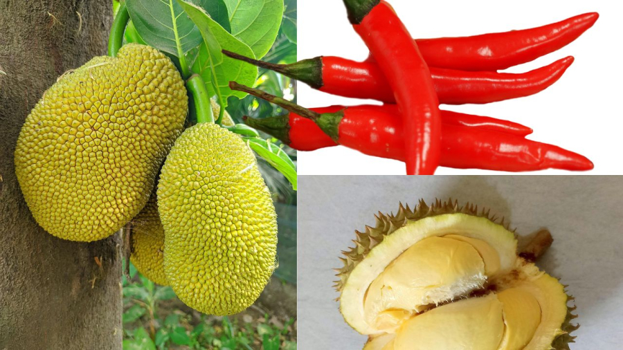 Những trái cây nhiều gai nhọn, cay nóng, nặng mùi không dâng cúng