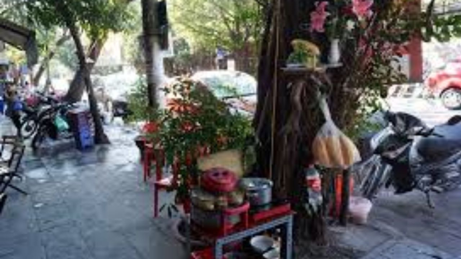 Cây có bát hương bên đường là cây có linh hồn