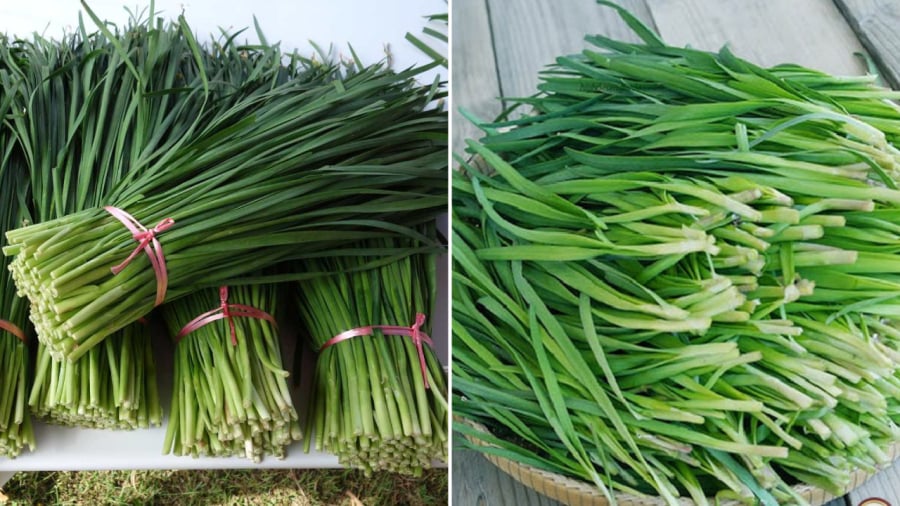 Lá hẹ mang lại nhiều lợi ích cho sức khỏe, được coi như một vị thuốc, có thể trị một số bệnh đơn giản.