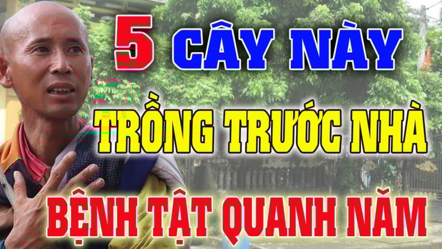 cay trong