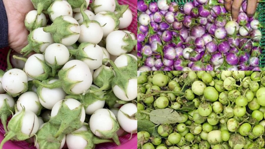 Cà pháo là thực phẩm phổ biến tạo nhiều món ăn ngon