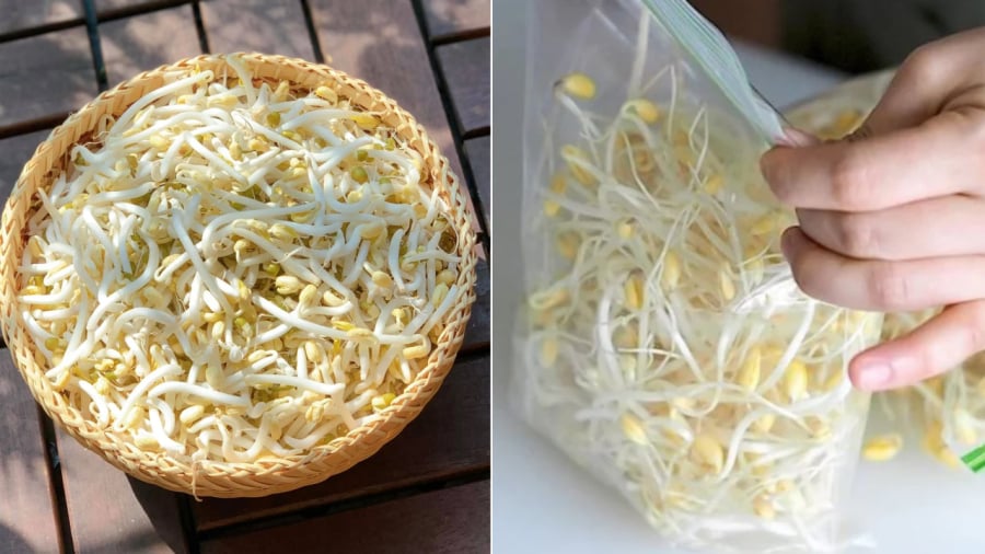 Bạn có thể bảo quản giá đỗ trong túi zip hoặc hộp đậy nắp kín có lót thêm giấy để hút độ ẩm dư thừa.