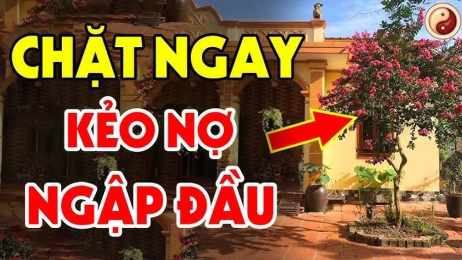 Có