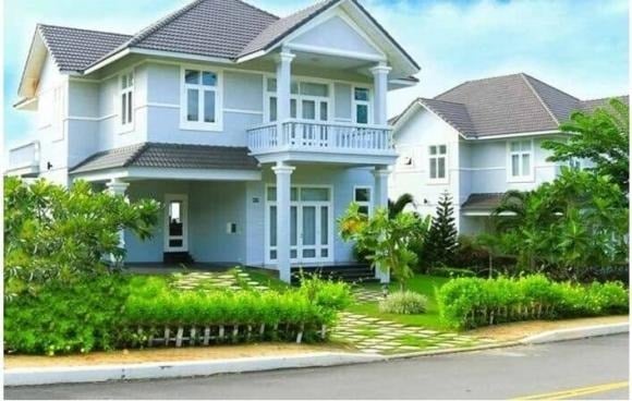 Cây xanh không chỉ làm đẹp không gian sống mà còn giúp thanh lọc không khí, mang lại cảm giác dễ chịu và tăng cường sinh khí.