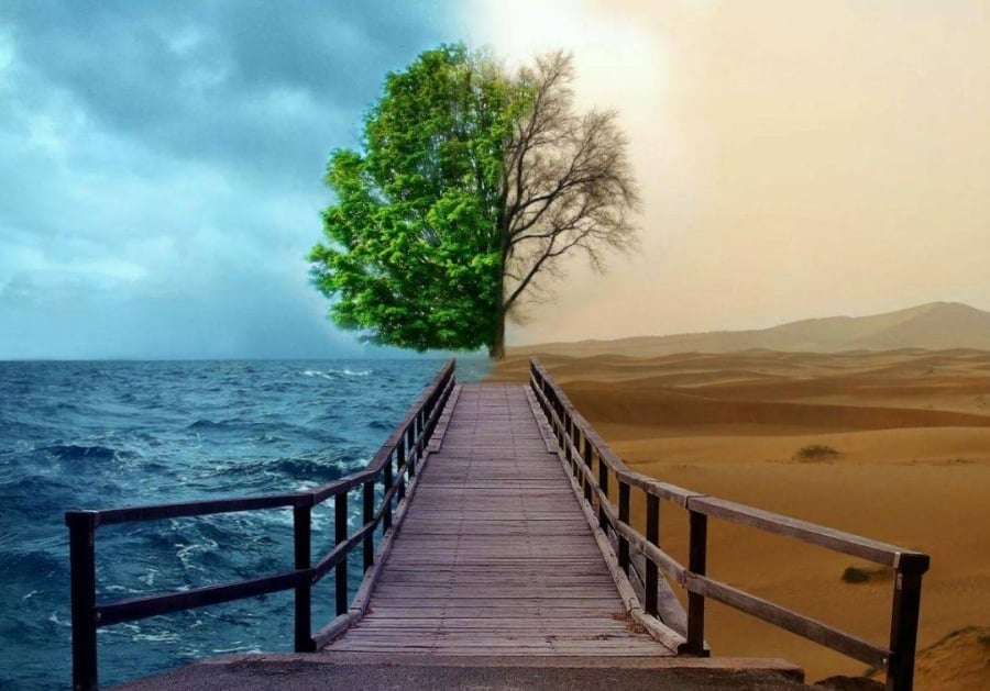 Hai chữ “cảm ơn” nghe đơn giản nhưng lại là phép thử quan trọng để đo lòng người.