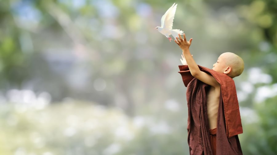 Người sống thiện lành ngày càng giàu phúc báu