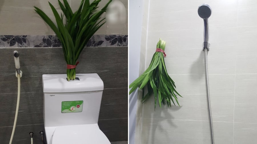 Sử dụng lá dứa đặt trong nhà vệ sinh có tác dụng khử mùi hôi rất tốt.