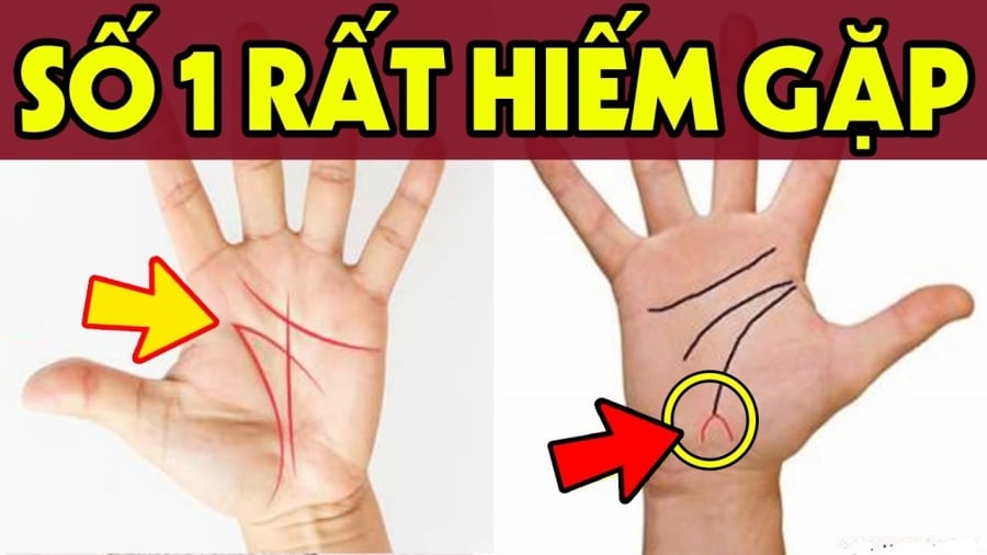 Không phải cứ tay nhiều đường là giàu. Người có 3 đường chính rõ, sâu, không bị cắt đoạn hay rối loạn cũng là tướng tay phúc lộc đầy đủ.