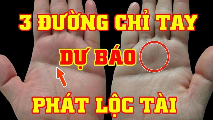 Bàn tay bạn có bao nhiêu đường chỉ tay? Nếu đúng số lượng dưới đây, đừng ngạc nhiên nếu thời gian tới tài lộc tìm đến dồn dập.