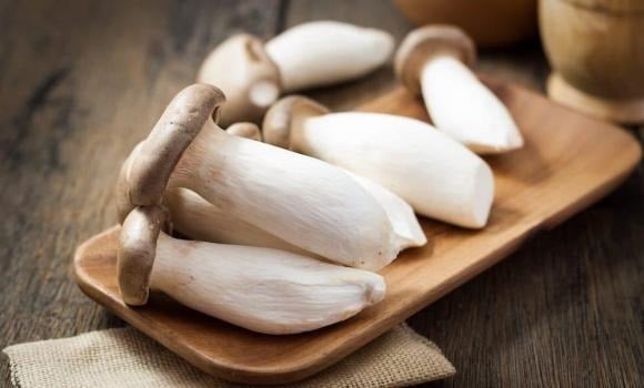 Nấm đùi gà chứa nhiều polysaccharides – hợp chất giúp kích thích sản xuất tế bào miễn dịch, tăng cường khả năng bảo vệ cơ thể trước các tác nhân gây bệnh.