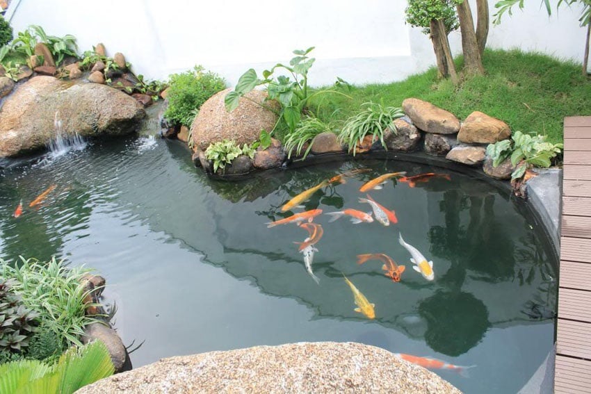 Bể cá là vật kích hoạt thủy khí, mang lại sinh động cho ngôi nhà. Tuy nhiên, nước đại diện cho tài lộc, nếu đặt không đúng chỗ hoặc dời chuyển tùy tiện sẽ tạo ra dòng chảy hỗn loạn, khiến “nước chảy tài tan”.