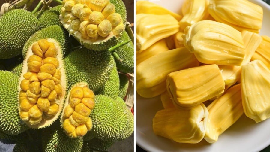 Mít là loại trái cây ngon ngọt, giàu dinh dưỡng nhưng không phải ai cũng nên ăn.