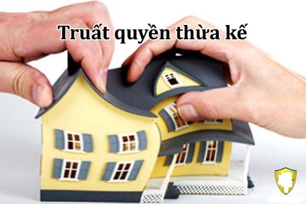 Những trường hợp con cái bị truất quyền thừa kế