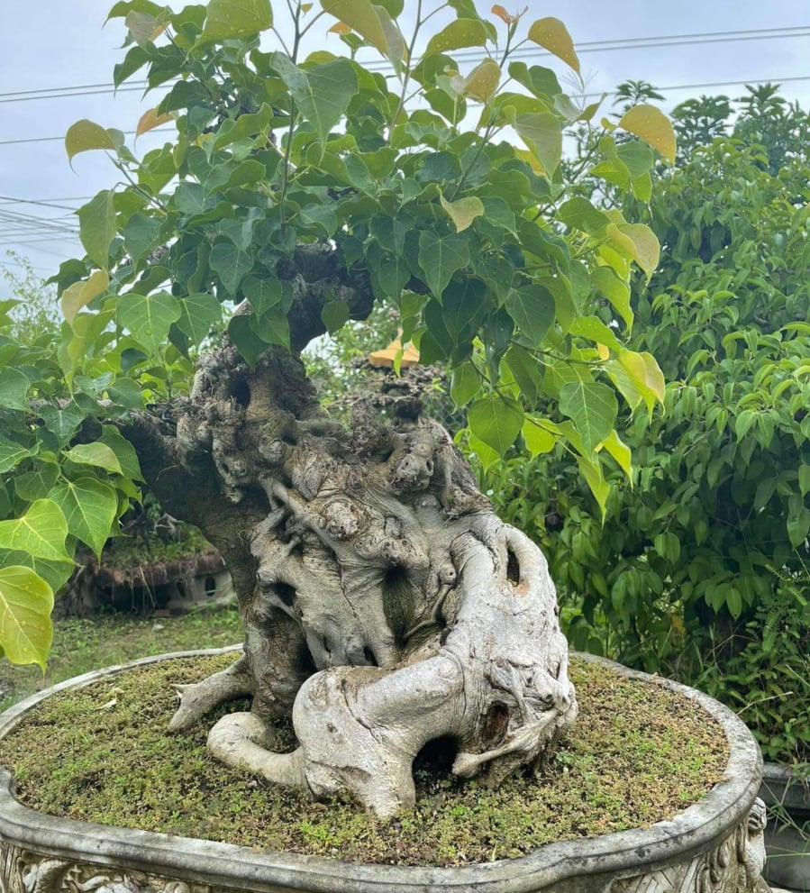 dc2c6ebdb68671d82897-2084