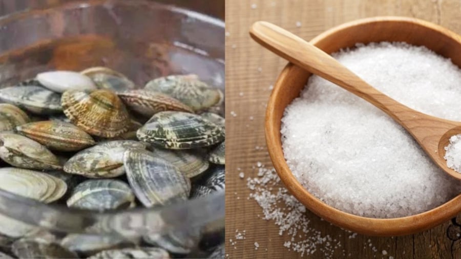 Ngâm ngao nước muối giúp làm sạch ngao