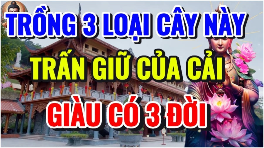 Cây trồng giàu có đừng bao giờ chặt