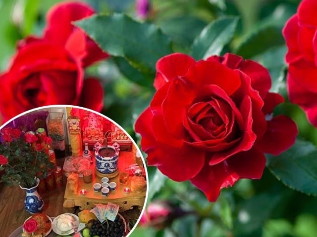 4 loại hoa, 5 loại quả thần Tài gạch tên, ngày rằm đừng dâng cúng mà mất Lộc