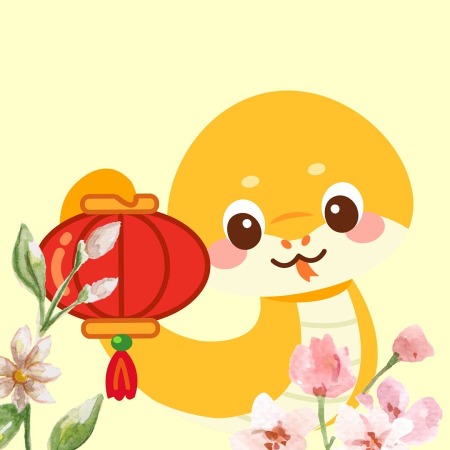 Từ nay tới hết 2028, tuổi Tỵ có cơ hội thắng lớn