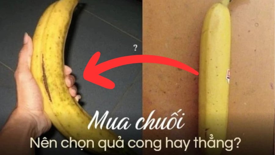 Nên chọn những trái chuối có hình dáng cong vì đây là những trái chuối có hương vị thơm ngon hơn.