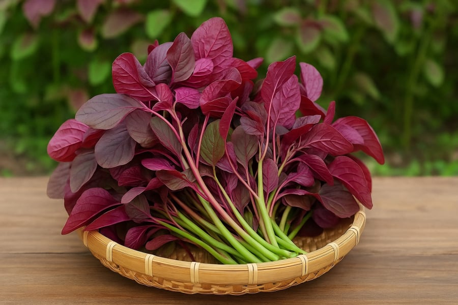 Rau dền đỏ – loại rau dân dã nhưng giàu dinh dưỡng, chứa hàm lượng sắt cao gấp đôi thịt bò.
