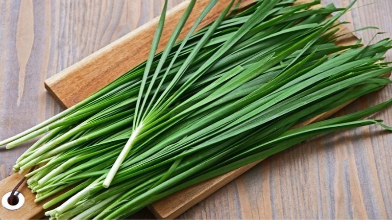 Rau hẹ, với hình dáng giống hành lá và vị đặc trưng giống tỏi, thường không cần thuốc bảo vệ thực vật khi trồng.